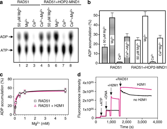 Hop2 Mnd1 Modulates Rad51 Binding To Nucleotides And Dna Nature Communications