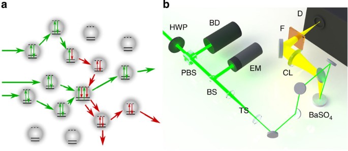 Bright emission from a random Raman laser | Nature Communications