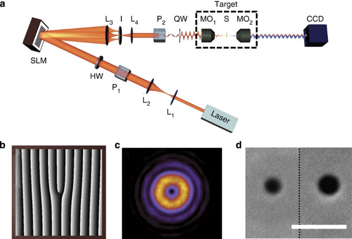 Angular momentum-induced circular dichroism in non-chiral nanostructures