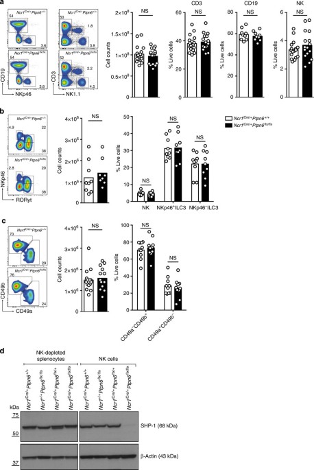 Shp 1 Mediated Inhibitory Signals Promote Responsiveness And Anti Tumour Functions Of Natural Killer Cells Nature Communications