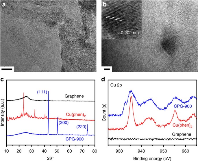 Bioinspired copper catalyst effective for both reduction and evolution of oxygen
