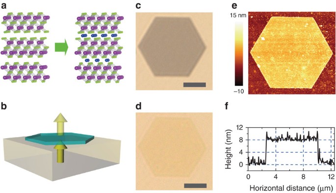 Optical transmission enhacement through chemically tuned two-dimensional  bismuth chalcogenide nanoplates | Nature Communications
