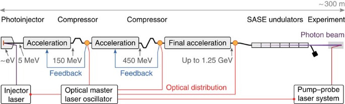 Femtosecond All Optical Synchronization Of An X Ray Free Electron Laser Nature Communications