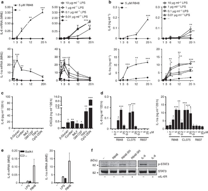 bpc-157 reduces tnf- il-6 cytokines Peptide Therapy for Inflammation: Colleyville, TX Solutions BPC 157 accelerated the blood