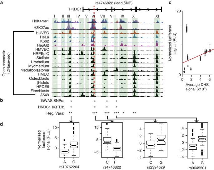 Coordinated regulatory variation associated with gestational 