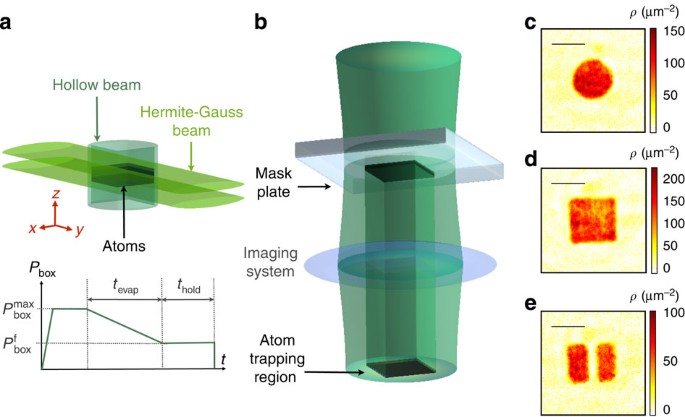 Emergence Of Coherence Via Transverse Condensation In A Uniform Quasi Two Dimensional Bose Gas Nature Communications