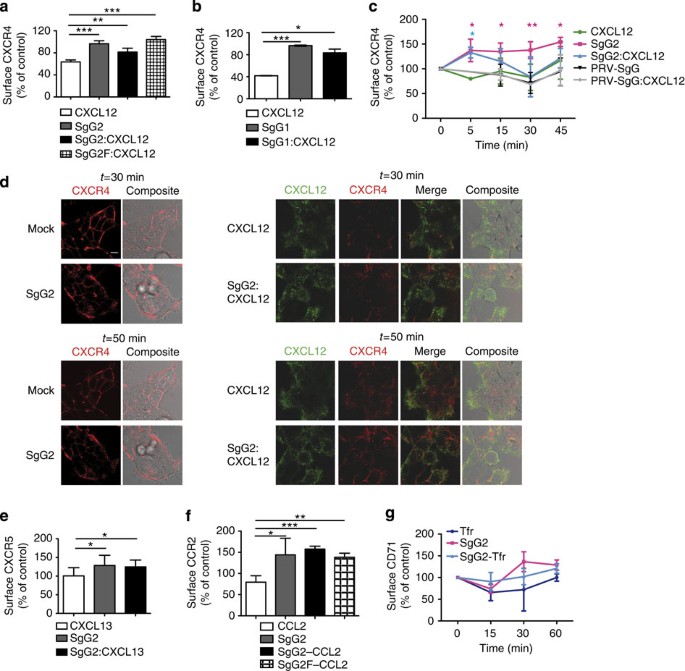 Herpes simplex virus enhances chemokine function through