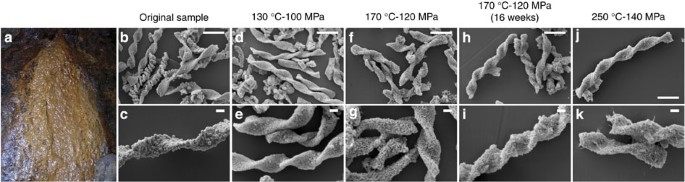 Experimental diagenesis of organo-mineral structures formed by microaerophilic fe(ii)-oxidizing bacteria