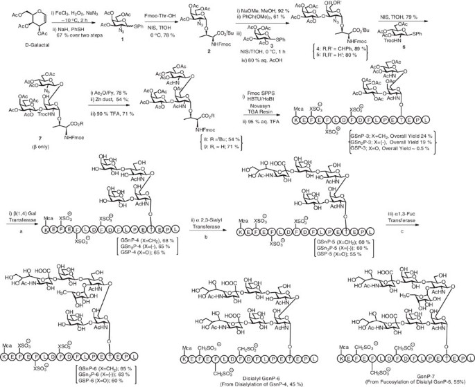 Glycopeptide Analogues Of Psgl 1 Inhibit P Selectin In Vitro And In Vivo Nature Communications