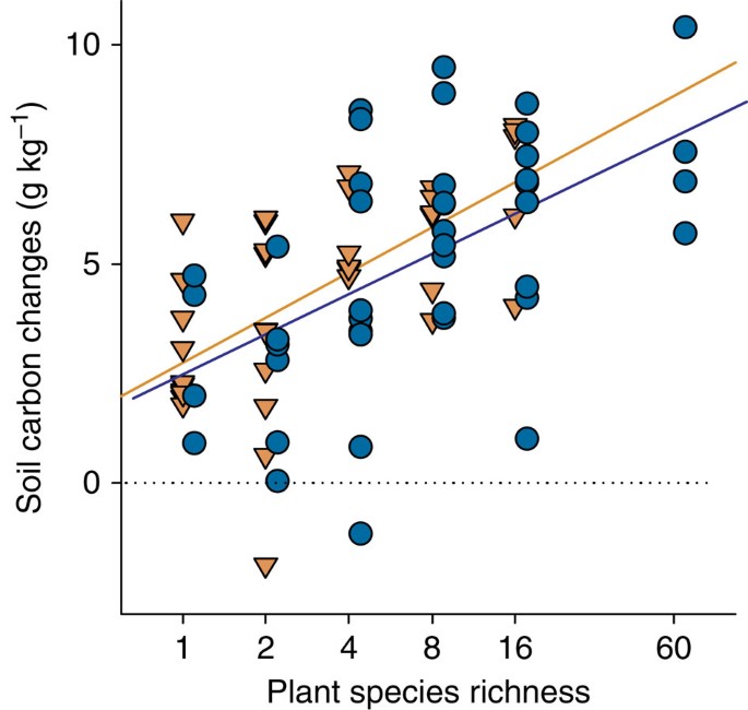 Plant Diversity Increases Soil Microbial Activity And Soil Carbon Storage Nature Communications