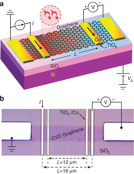 Long Distance Spin Communication In Chemical Vapour - 