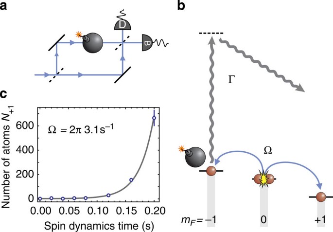 Interaction Free Measurements By Quantum Zeno Stabilization Of Ultracold Atoms Nature Communications