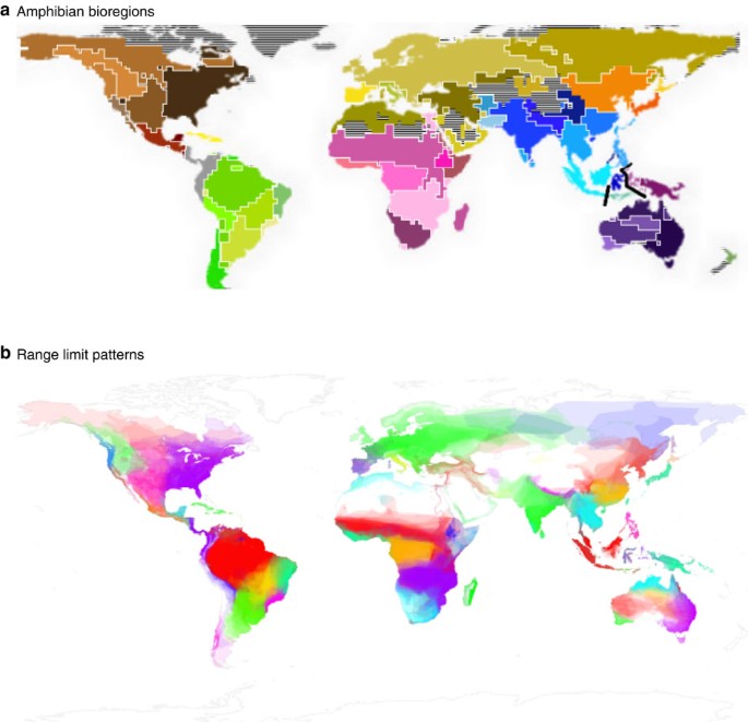 Species richness by biogeographical area and provinces