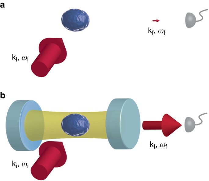 Measuring The Dynamic Structure Factor Of A Quantum Gas Undergoing A Structural Phase Transition Nature Communications