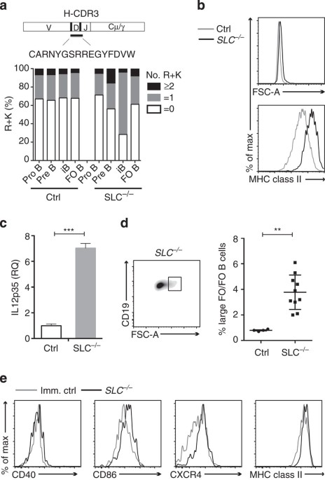 Absence of surrogate light chain results in spontaneous autoreactive  germinal centres expanding VH81X-expressing B cells | Nature Communications