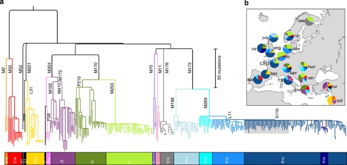 https://media.springernature.com/m685/springer-static/image/art%3A10.1038%2Fncomms8152/MediaObjects/41467_2015_Article_BFncomms8152_Fig1_HTML.jpg