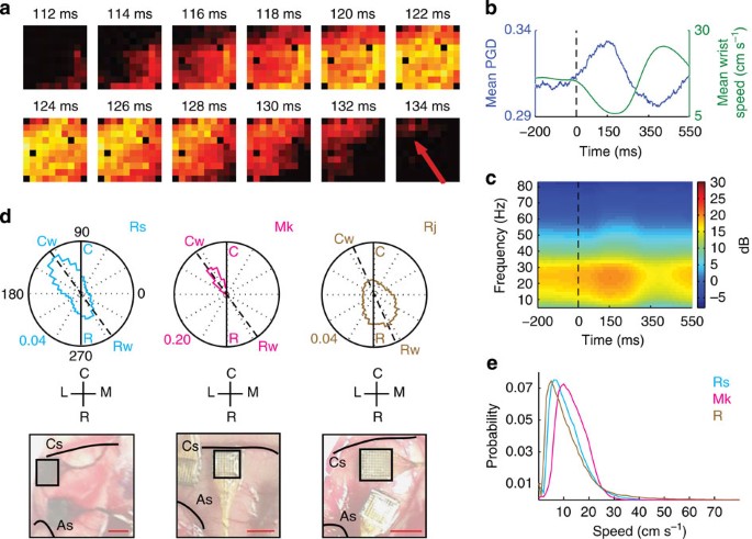 Large Scale Spatiotemporal Spike Patterning Consistent With Wave Propagation In Motor Cortex Nature Communications