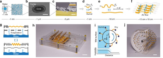 Scaling Up Nanoscale Water Driven Energy Conversion Into Evaporation Driven Engines And Generators Nature Communications