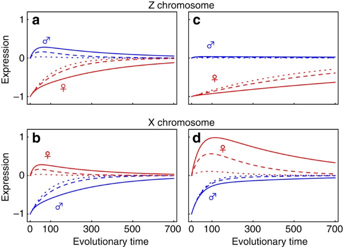 Evolution Of Dosage Compensation Under Sexual Selection Differs Between X And Z Chromosomes Nature Communications