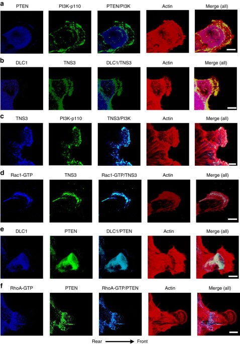 Reviewer acknowledgement 2013 – topic of research paper in Biological  sciences. Download scholarly article PDF and read for free on CyberLeninka  open science hub.