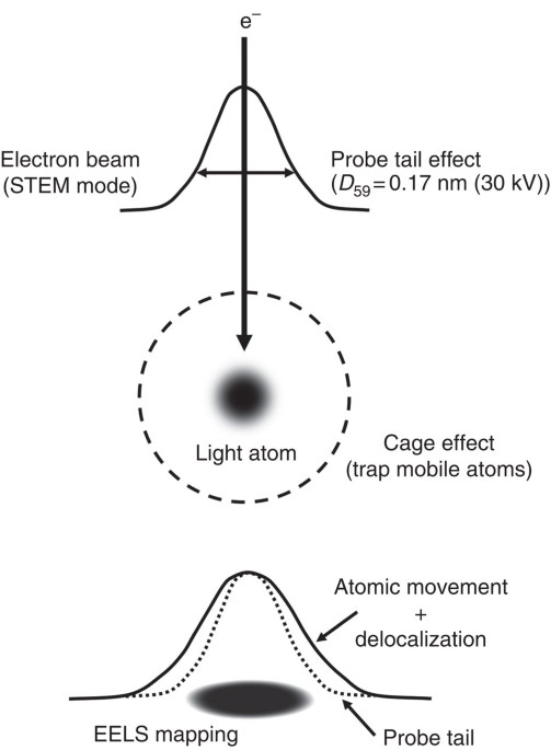 Single-atom electron energy loss spectroscopy of light elements 