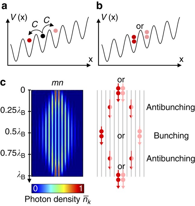 Nonoscillation and Oscillation: Theory Experimental observation of N00N state Bloch oscillations