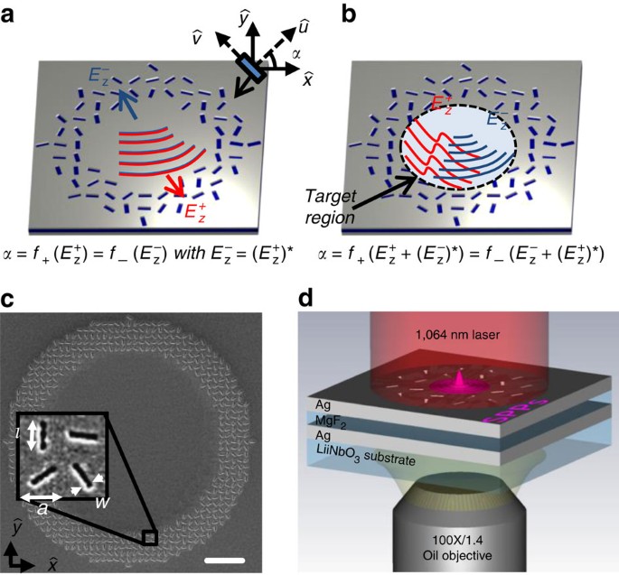 Flexible Coherent Control Of Plasmonic Spin Hall Effect Nature Communications