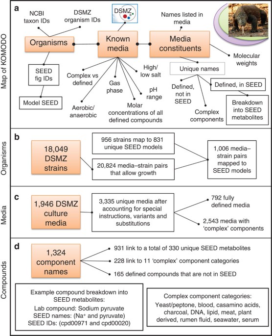 Harnessing the landscape of microbial culture media to predict new