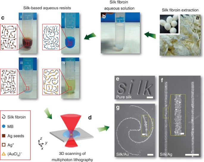 Aqueous Multiphoton Lithography With Multifunctional Silk Centred Bio Resists Nature Communications