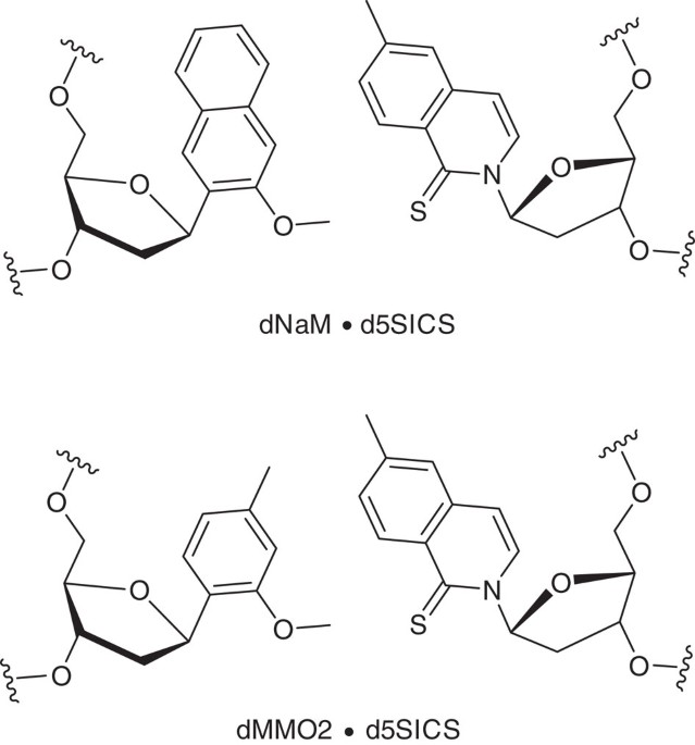 Identification Of Dna Lesions Using A Third Base Pair For Amplification And Nanopore Sequencing Nature Communications Identification Of Dna Lesions Using A Third Base Pair For Amplification And Nanopore Sequencing Nature Communications