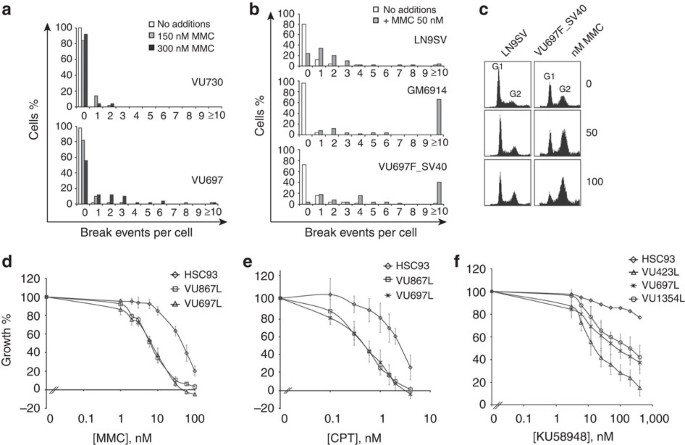 dominant negative mutation in rad51