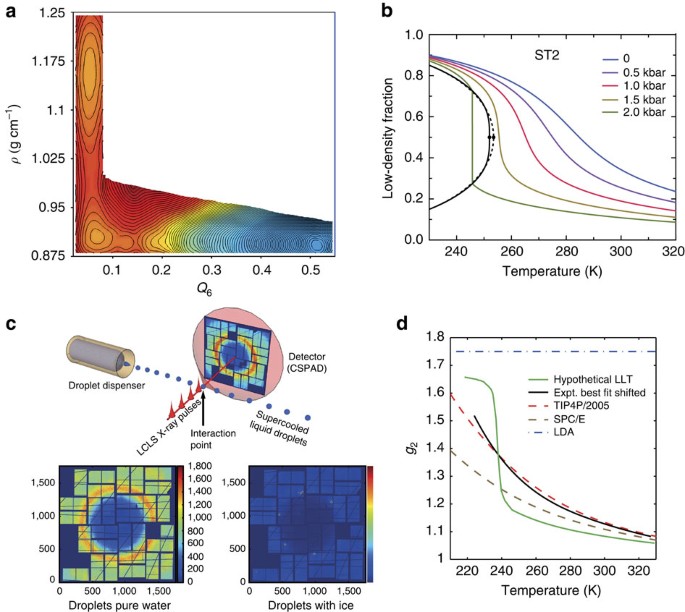 Selective Interstitial Hydration Explains Anomalous Structural