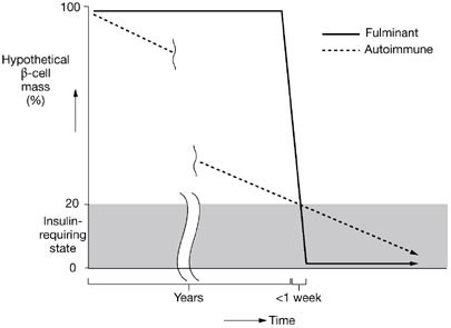 Fulminant type 1 diabetes: a novel clinical entity requiring special attention by all medical practitioners