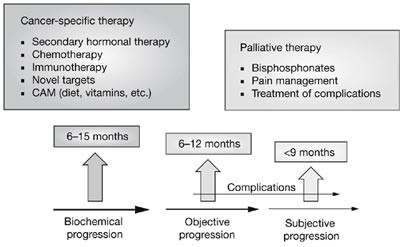 Multidisciplinary management of bone complications in prostate cancer and optimizing outcomes of bisphosphonate therapy