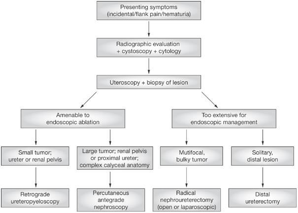 Management Of Patients With Upper Urinary Tract Transitional Cell Carcinoma Nature Reviews Urology