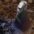 Thinking caps reveal how pigeons find their way