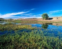 Methane mystery continues | Nature