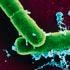 Anthrax investigation still yielding findings