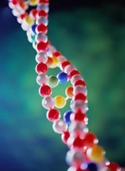 Evolved DNA stitches itself up