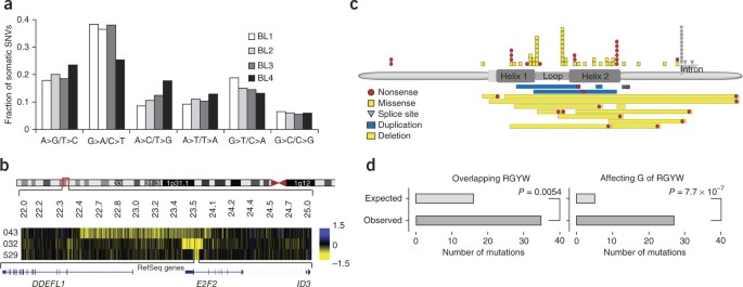 Recurrent Mutation Of The Id3 Gene In Burkitt Lymphoma Identified By Integrated Genome Exome And Transcriptome Sequencing Nature Genetics