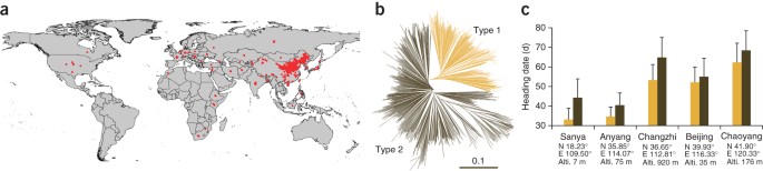 A haplotype map of genomic variations and genome-wide association studies of agronomic traits in foxtail millet (Setaria italica)