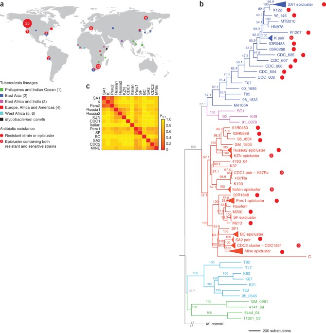 Population genomics confirms acquisition of drug-resistant