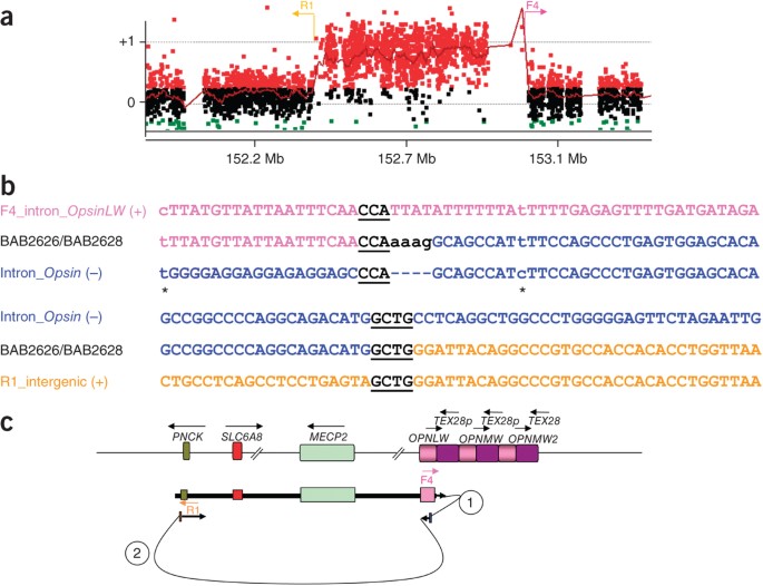 Replicative Mechanisms For Cnv Formation Are Error Prone Nature Genetics
