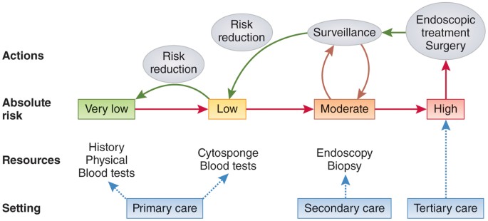 From genomics to diagnostics of esophageal adenocarcinoma