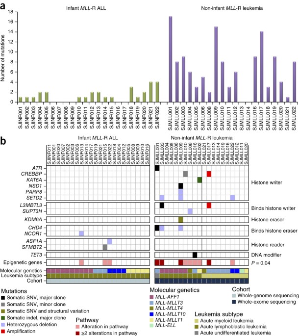 The landscape of somatic mutations in infant MLL-rearranged acute