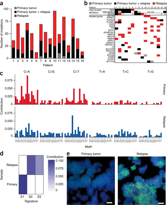 Mutational dynamics between primary and relapse neuroblastomas
