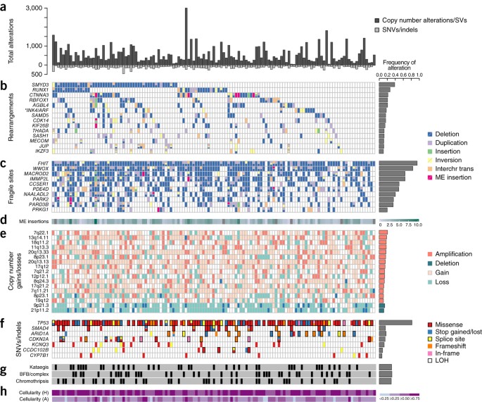 Mutational Signatures In Esophageal Adenocarcinoma Define Images, Photos, Reviews