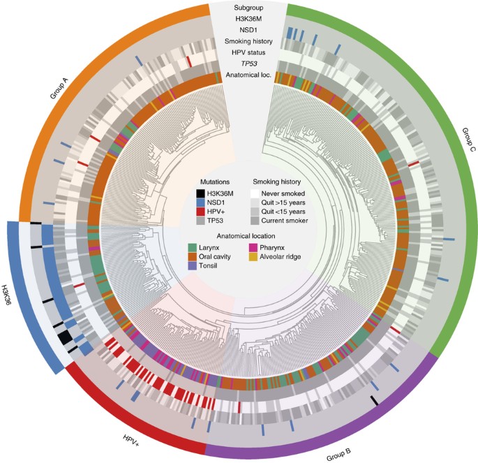 Impaired H3k36 Methylation Defines A Subset Of Head And Neck Squamous Cell Carcinomas Nature Genetics