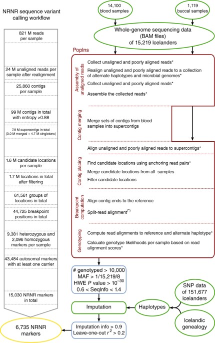 Diversity in non-repetitive human sequences not found in the reference genome