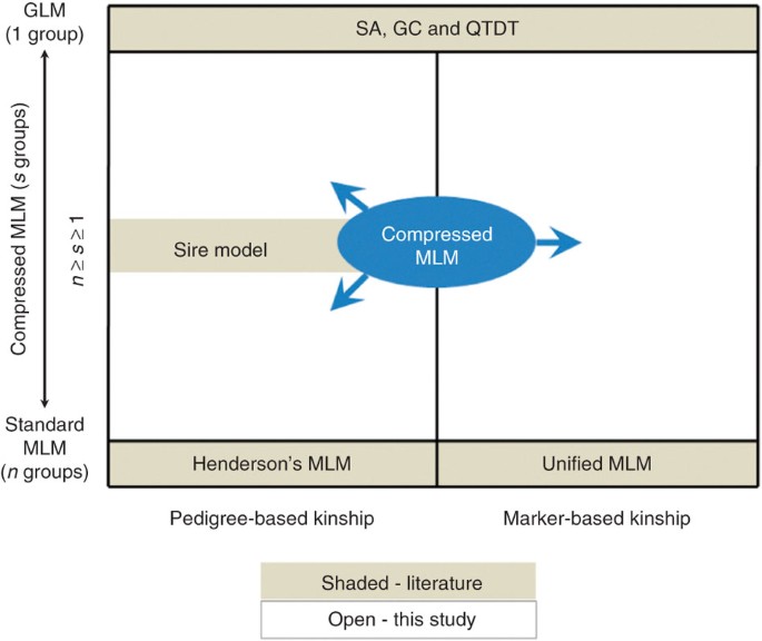 Mixed Linear Model Approach Adapted For Genome Wide Association Studies Nature Genetics